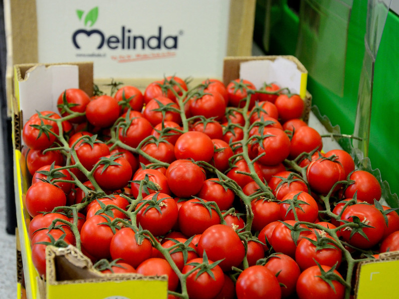 Frutta e verdura - Reparto Supermercato Recchia